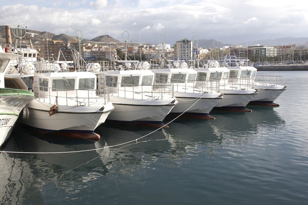 Bateau de Pêche à la Palangre de Surface - ARESA 1200 SL