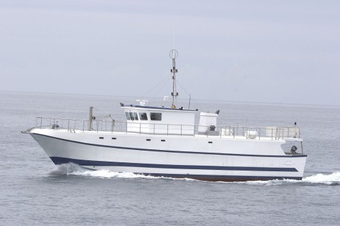 Navio de Pesca Palangreiro de Superfície photo 15