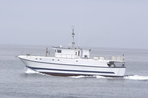 Navio de Pesca Palangreiro de Superfície photo 16