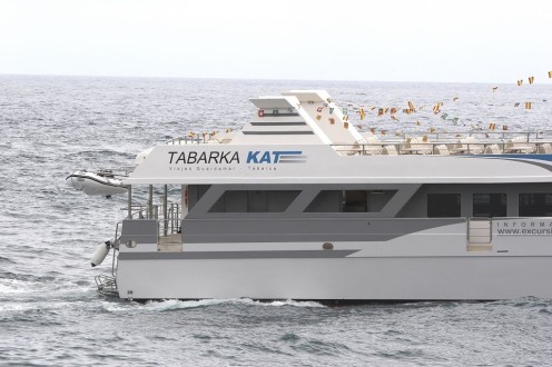 Catamarán de Pasaje photo 8