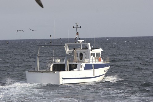 Navire de Pêche Chalutière photo 2